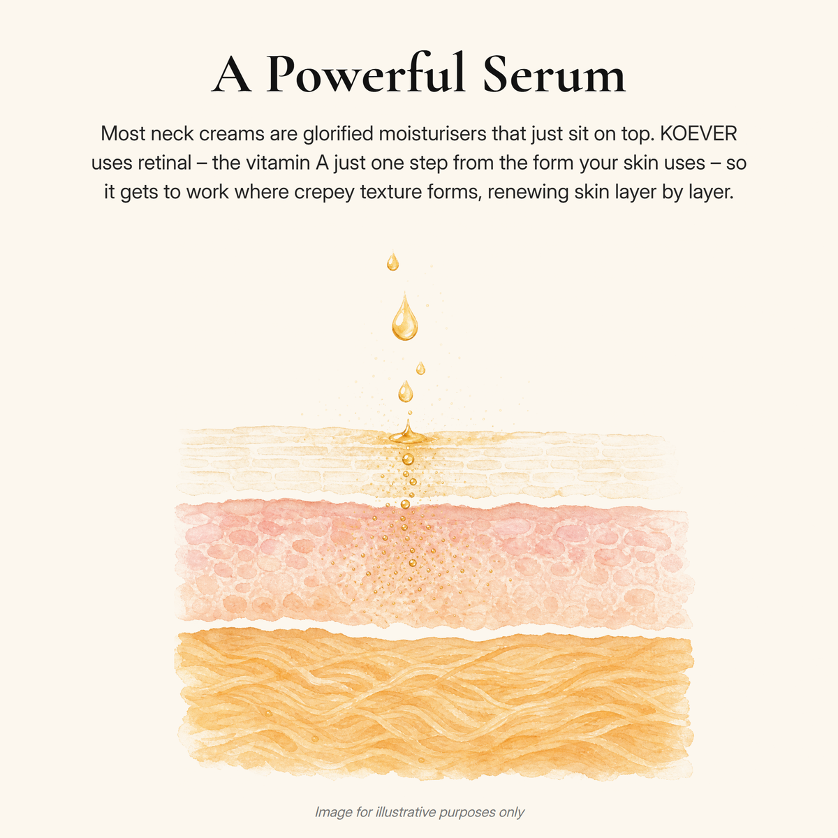 KOEVER Retinal Neck & Chest Serum